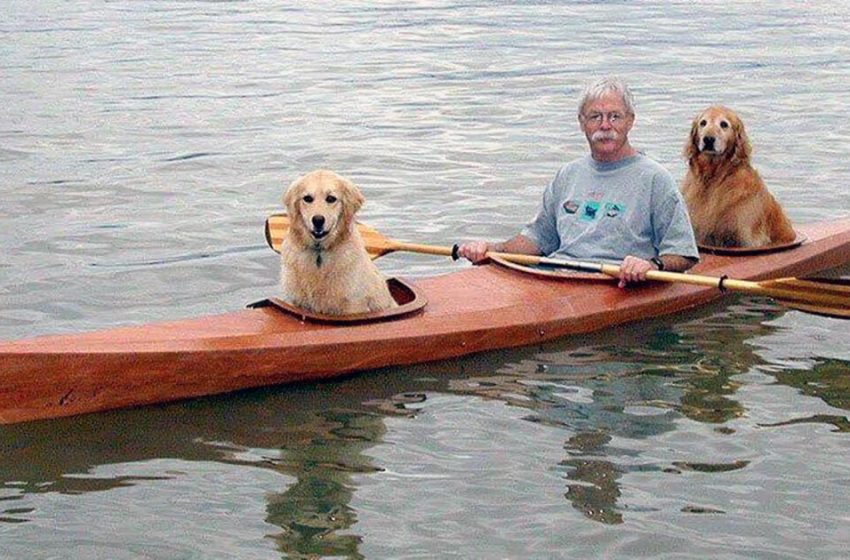  The man came up with a great idea to make a special kayak for his dogs to have fun together