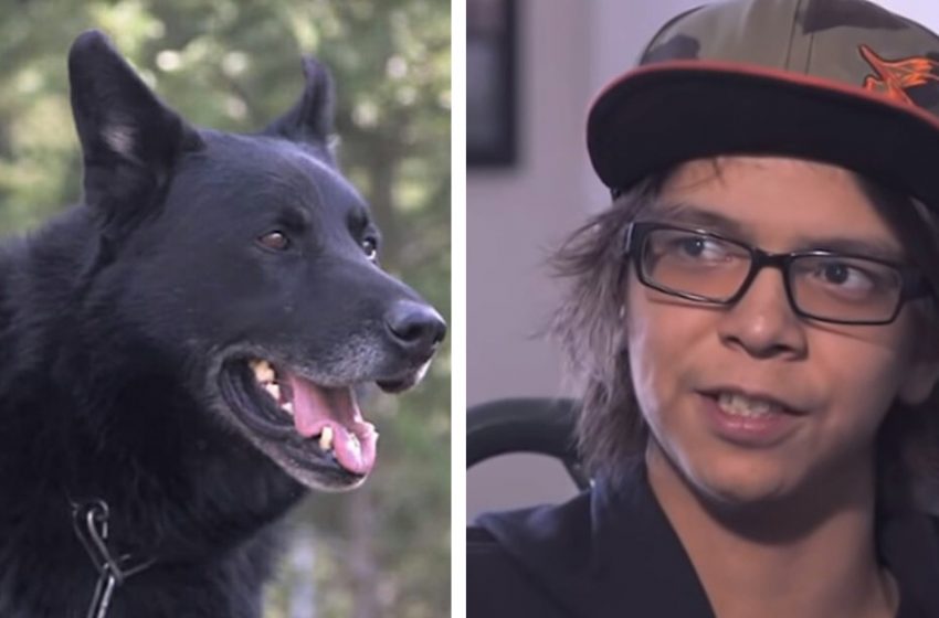  The faithful dog protected his wonderful friend in his most difficult time