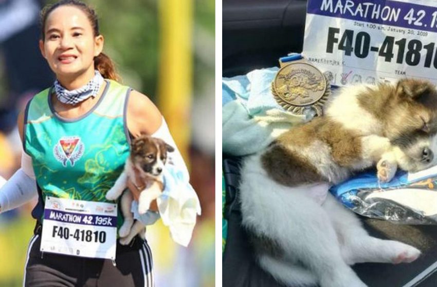  The kind woman decided to finish marathon with the lovely dog she saved along her way