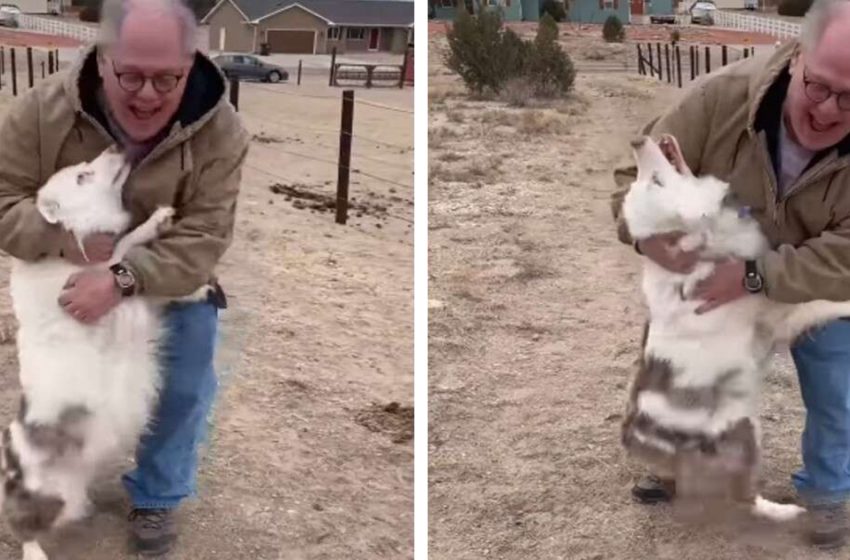  The nice dog immediately remembered her one and only friend after a year