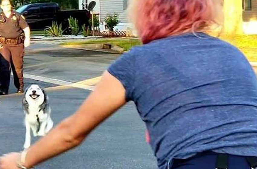  The lovely woman finally found her beloved pet after two years