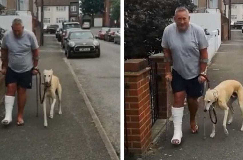  After Dad Fractures His Ankle, The Dog Inexplicably Begins To Stumble.