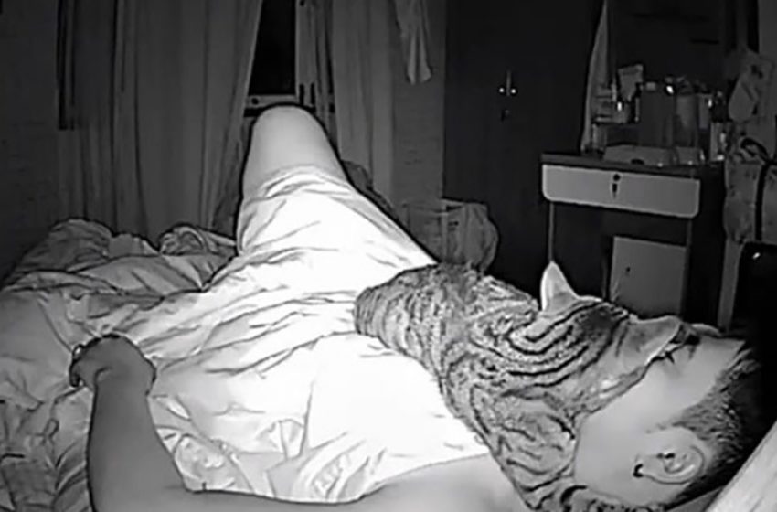  He installed a camera and discovered something interesting about his rescue cat