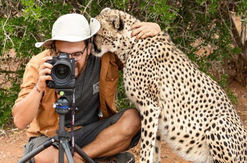  The wildlife photographer was shocked to be so close to an amazing cheetah who wanted to hug him