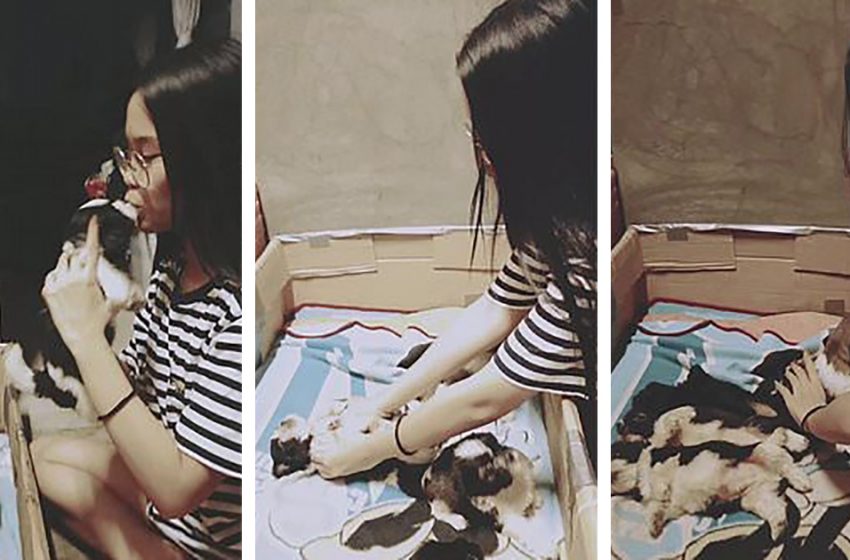  The girl found an incredible way to make her little puppies sleep