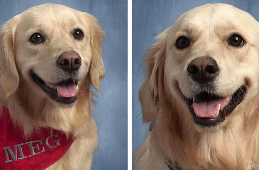  The lovely therapy dog has her wonderful pic in the school’s yearbook