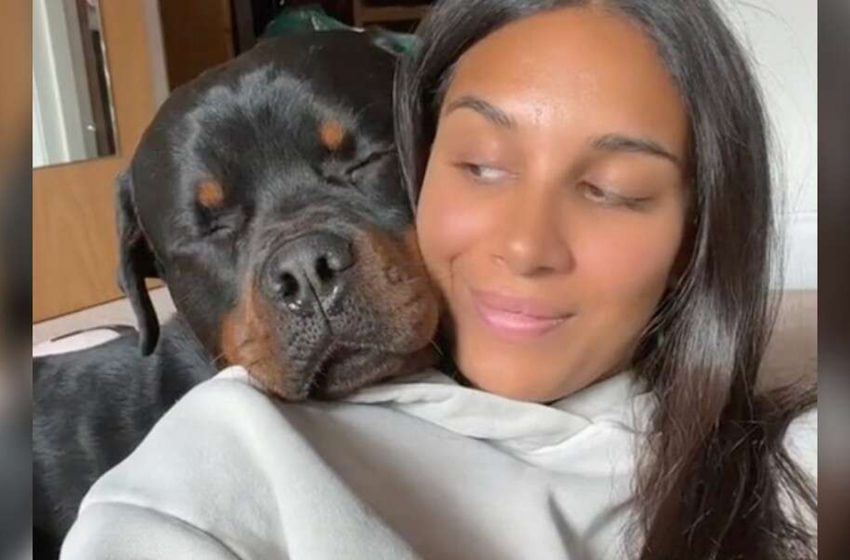  The adorable dog loves to be cuddled and get a lot of warmth