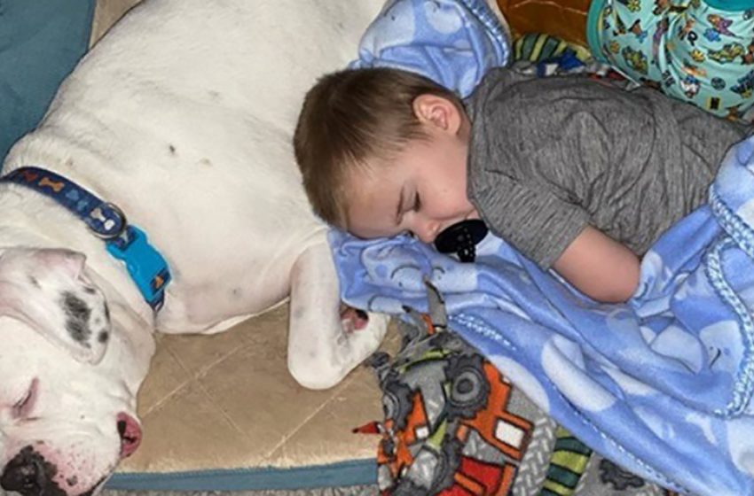  Parents found out the interesting reason why their boy woke up on the floor every day