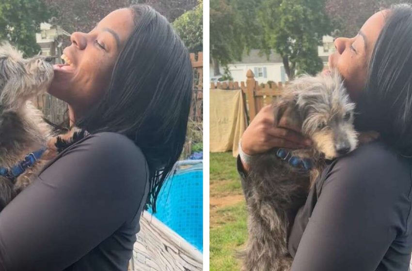  The nice dog got thrilled recognizing her mom after being lost about 5 years