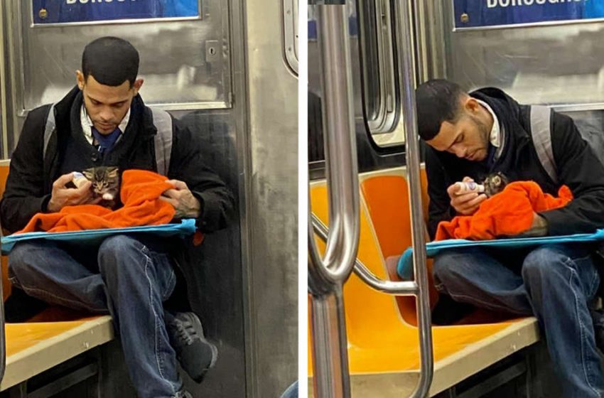  The kind man was spotted feeding a tiny kitten with great love and care