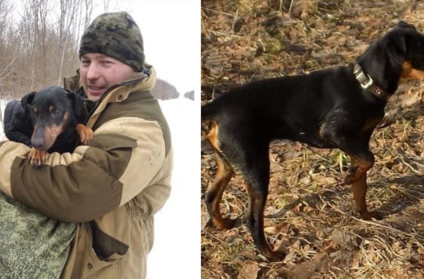  The hunter spent 6 days looking for his dog in badger holes. Incredible rescue story