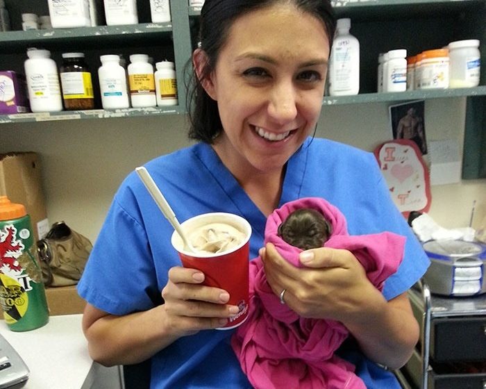  A veterinarian adopts a puppy the size of a milkshake after saving him from being put down.