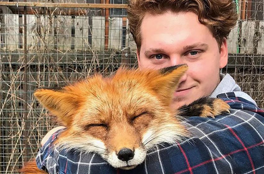  The man saved a fox from a fur farm that later became his best friend