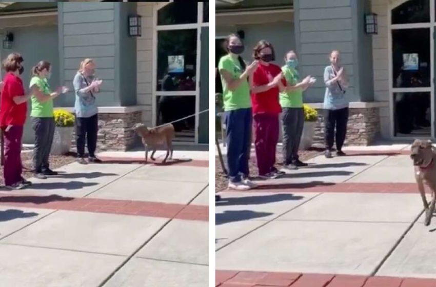  The longest resident of the shelter walked out of the building for the last time