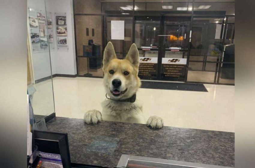  The police officers welcomed an unexpected visitor who brightened their day