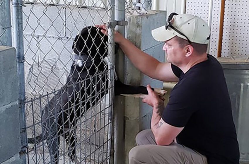 The kind dog loves to greet people passing by his kennel by holding their hands