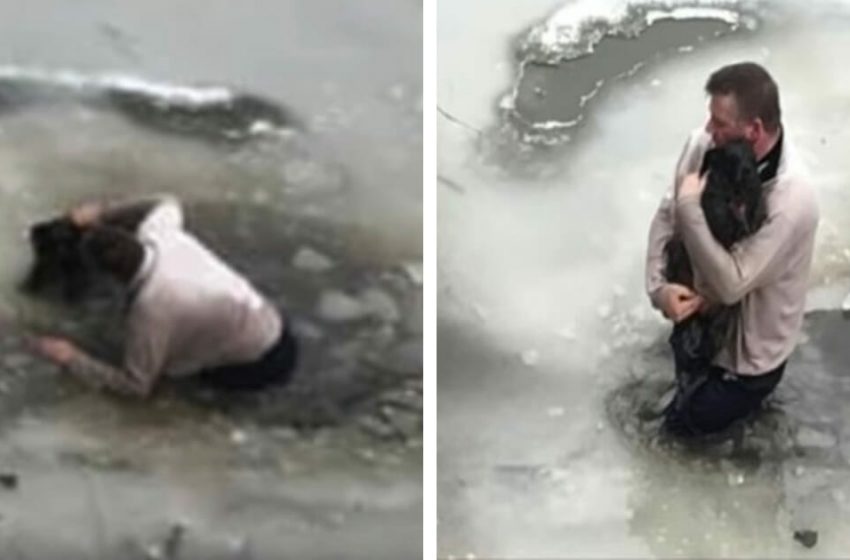  The man became a real hero for the tiny dog whom he saved from drowning into the icy water