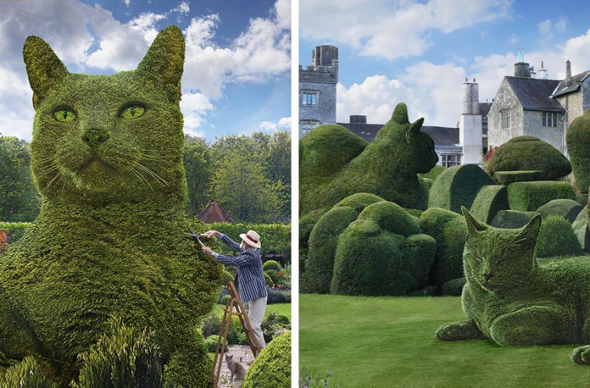  In Memory of his Deceased Cat, this 75-Year-Old Artist Edits Bushes