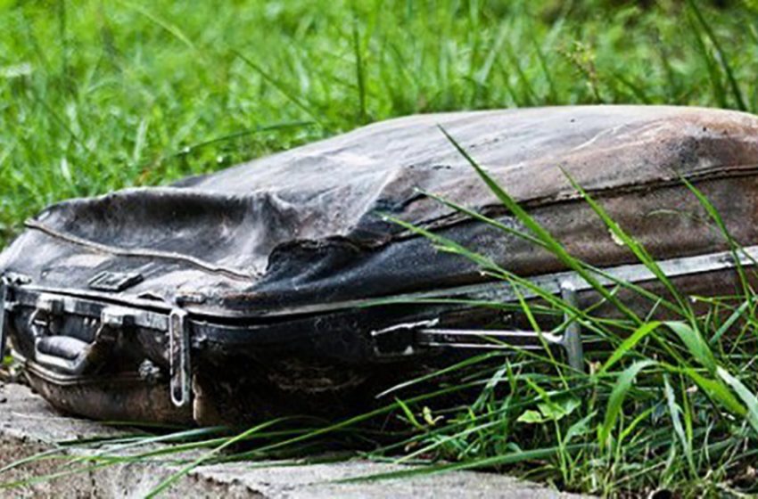  The girl found an old suitcase in the park and got startled finding something strange inside it