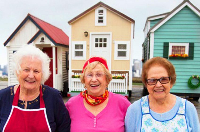  These lovely pensioners created all the proper conditions for themselves to live happily