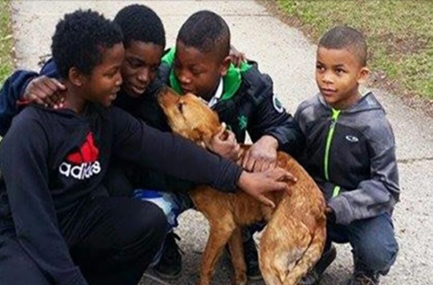  “They Have The Biggest Hearts!” 4 young boys rescue a starving, abandoned dog tied to a house
