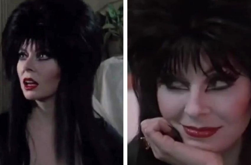  It is impossible to believe: What does the star of the movie “Elvira – Mistress of the Dark” look like at 71
