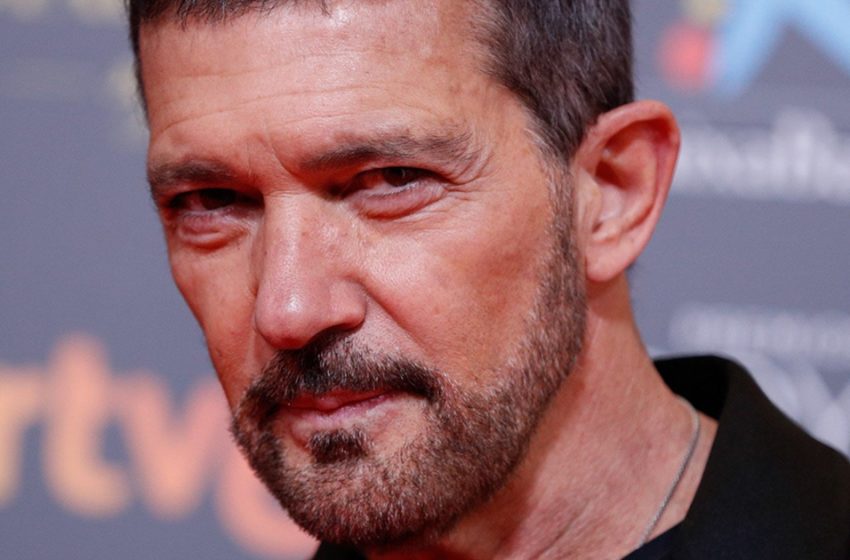  “Very beautiful”: Antonio Banderas showed a rare shot with his young bride