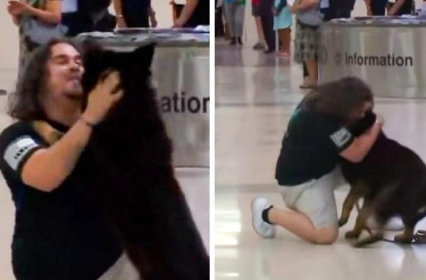  A reunion of two friends that moved all the airport passengers to tears