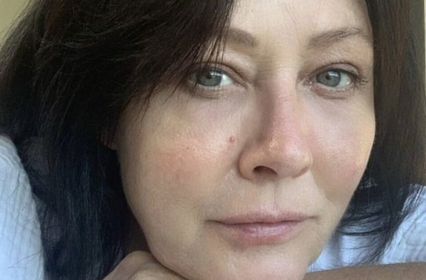  ‘I was trying to be brave’: cancer patient Shannen Doherty reveals what she looked like before her tumour surgery