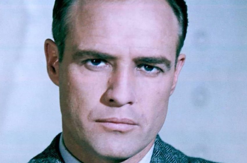  “Outdid His Grandpa”: What Does The Grandson Of Marlon Brando Look Like?