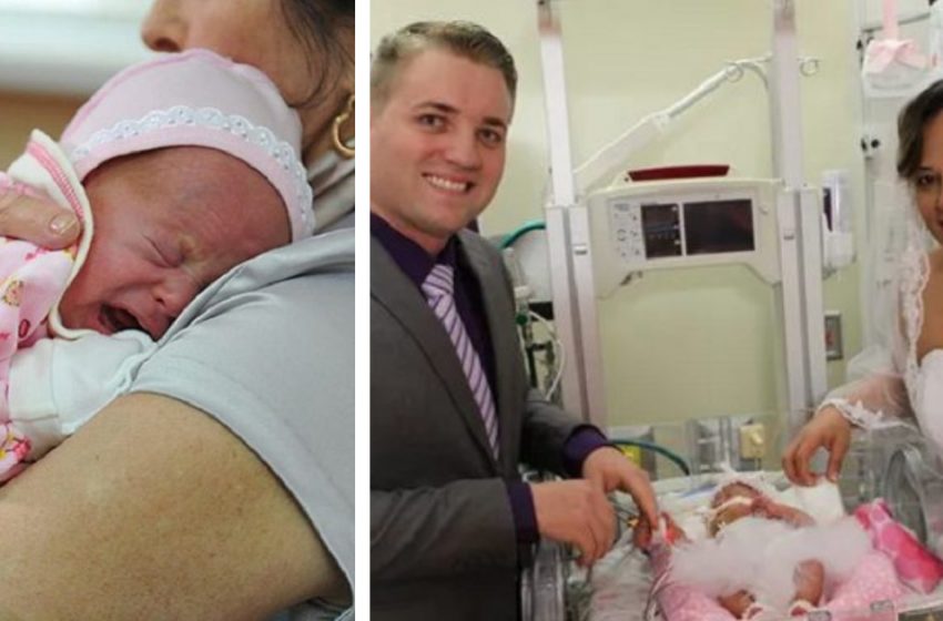  “A wonderful story”: the prematurely born baby becomes a guest at his parents’ wedding”