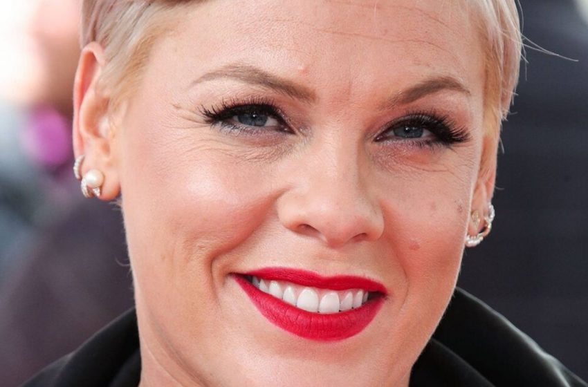  ‘Baby is starting to look like mum’: Pink in mini dress with 6-year-old son charmed bloggers