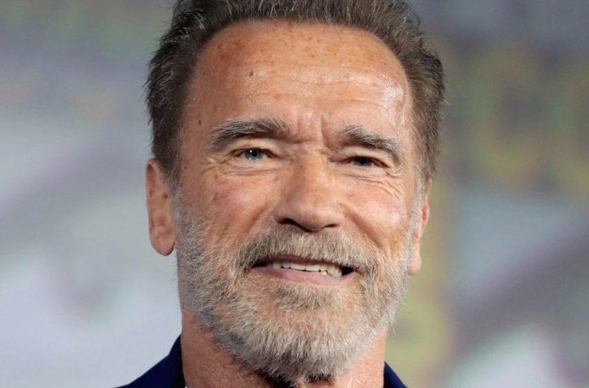  “The Actor Has a New Lover”: 76-year-old Schwarzenegger Was Caught Kissing a Young Blonde In Leopard-print Leggings!