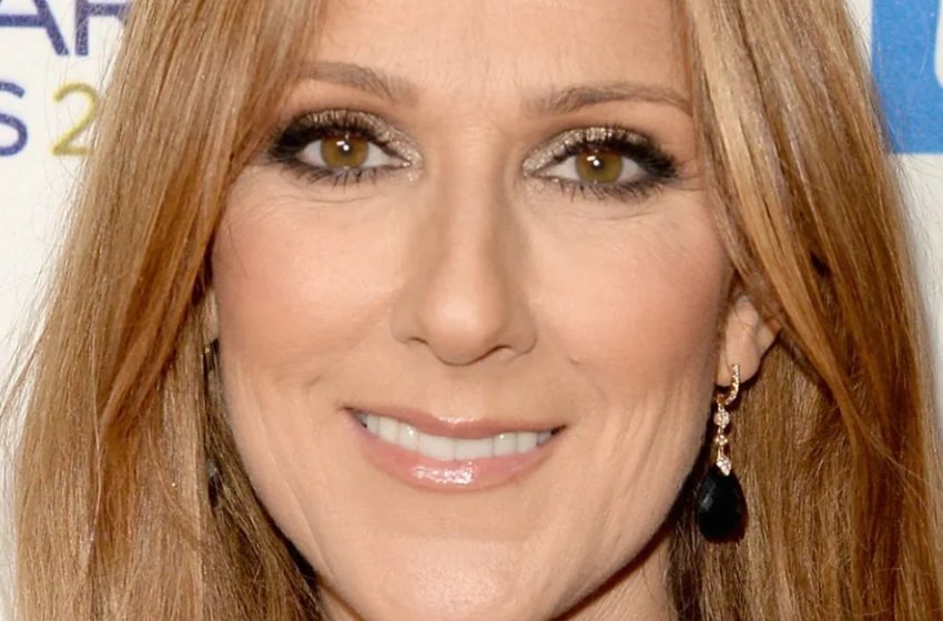  The Star Appeared With Her Sons At A Hockey Game: What Do Celine Dion’s Rarely-Seen Heirs Look Like Now?