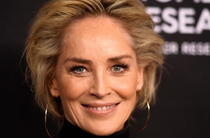  Sharon Stone’s Children Are Already Grown-ups: What Do The Heirs Of The Star, Whom She Hid For So Long, Look Like Now?