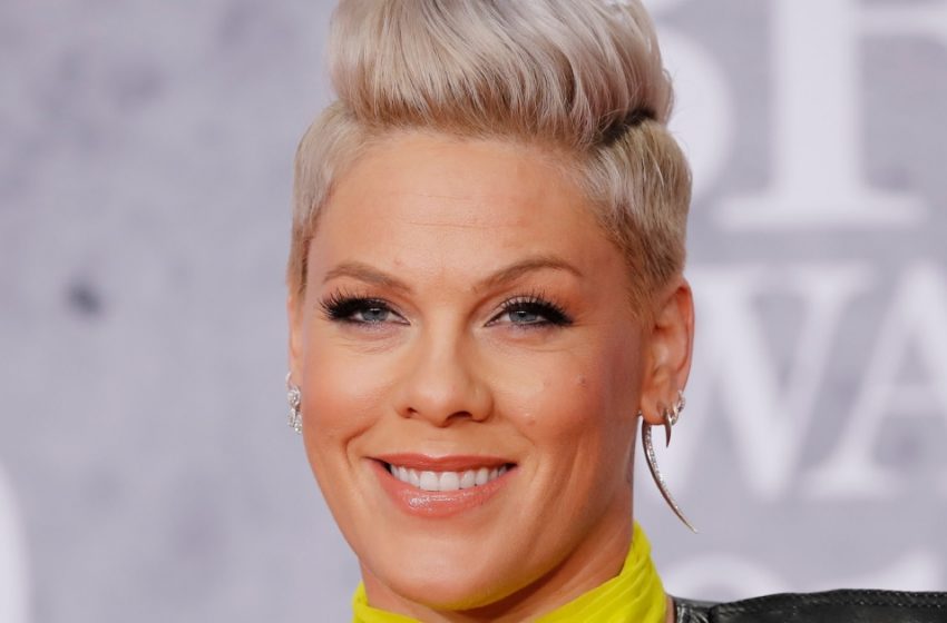  “The Girl Often Appears On Stage With Her Mom”: More Personal Ditails About Pink’s Daughter!