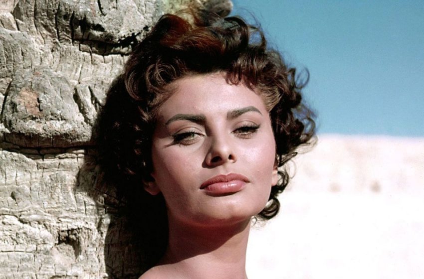  “From A Stuning Beauty Into An Old Lady”: 88-Year-Old Sophia Loren Is Unrecognizable Now!