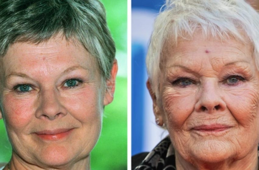  “They Chose Natural Aging Saying “No” To Plastic Surgeries”: Photos Of 20 Celebrities Who Challenged Modern Beauty Principles!