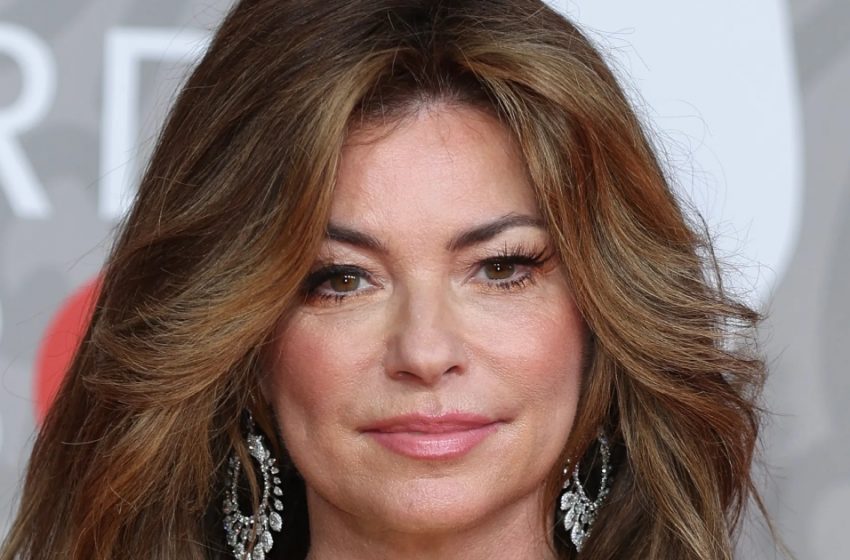  “A New Crazy Haircut And Haircolour”: Shania Twain Stunned Fans With a Radical Transformation!