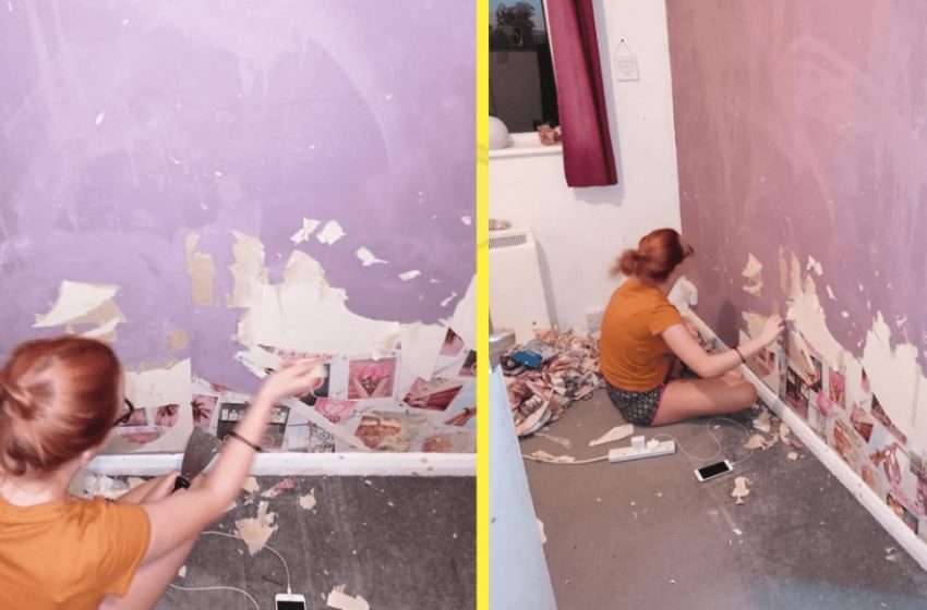  A Teenage Girl Tore Off The Wallpaper In Her Bedroom, Deciding To Do The Renovation Herself: The Result Is So Impressive!