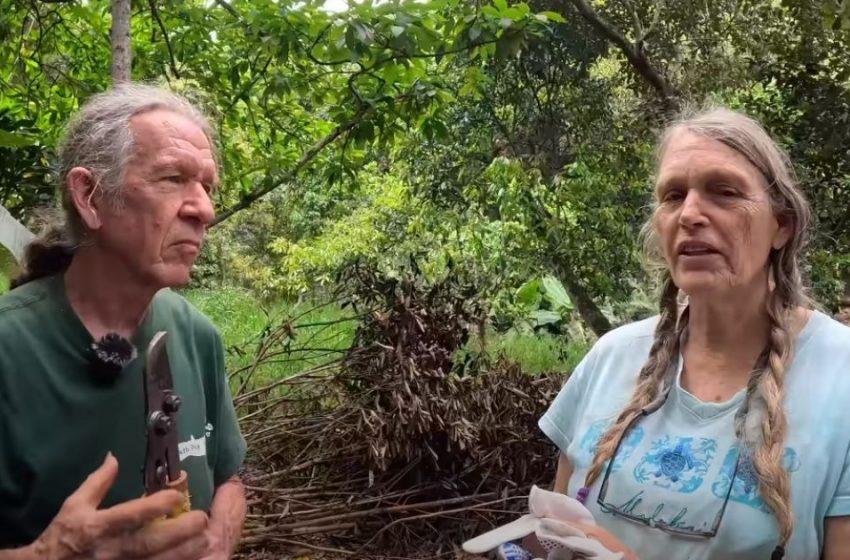  “The Couple Who Abandoned Civilization Have Been Living In The Jungle For 50 Years”: What Is Life Without TV And Internet Like?