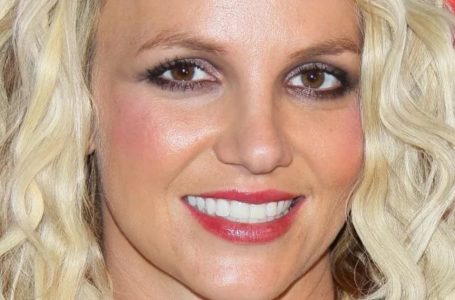 “I Don’t Have Cellulite”: Britney Spears Is Angry About The Paparazzi’s “False Gossips”!