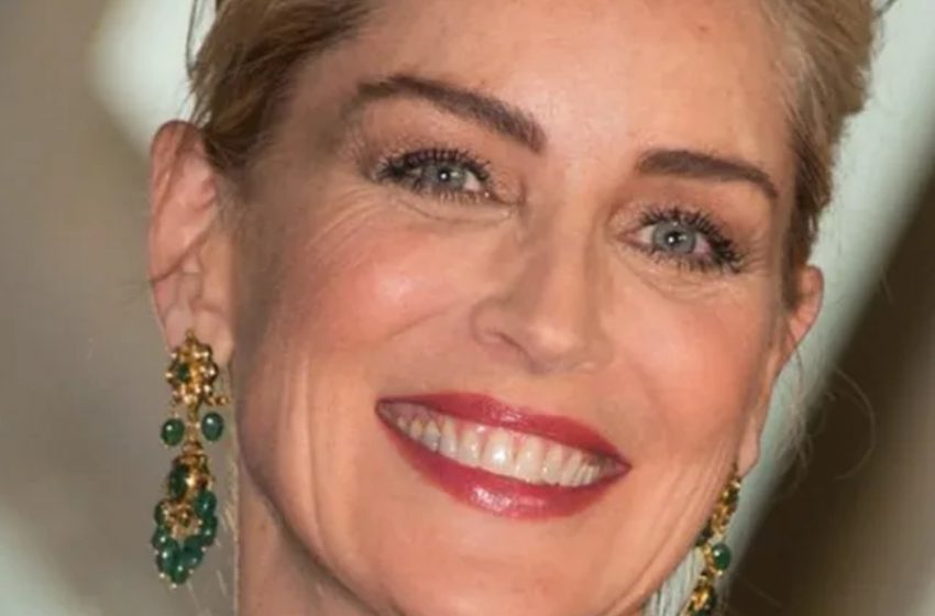  “Please, Get Dressed!”: Sharon Stone Was Criticized For Her Bold Topless Look At 66!