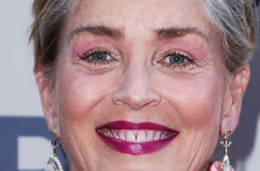 “On Heels and In a Spicy Bikini”: Sharon Stone Showed Off What a 66-Year-Old Woman Should Look Like!