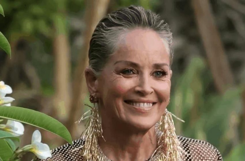  “The Woman Who Doesn’t Know How to Age”: 66-Year-Old Sharon Stone Made a Splash With Her Transparent Outfit!