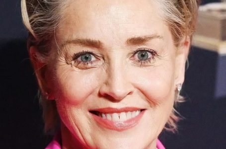 ”Everyone Is Talking About One Particular Detail”: 66-Year-Old Sharon Stone Attended The Film Festival In a Super Short Mini Dress!