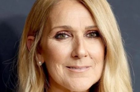 What Did Celine Dion Look Like During Her Struggle With The Incurable Neurological Syndrome?: Rare Photos!