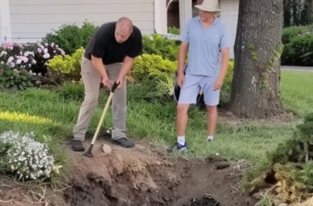 I Returned Home to Find My Husband and His Ex Digging Up My Garden: The Hidden Secret They Buried 10 Years Ago Left Me Speechless