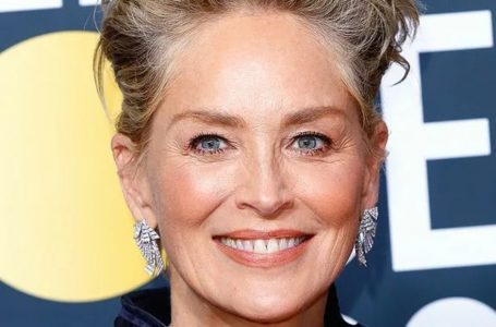 66-Year-Old Sharon Stone Posed Topless For Fashion Magazine Cover, Wowing Her Fans: The Boldest Photos Of Stone You Have Ever Seen!