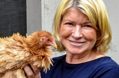 Martha Stewart, 80, From Swimsuit Criticism to Doting Granny on the Farm: What Does She Look Like Now?